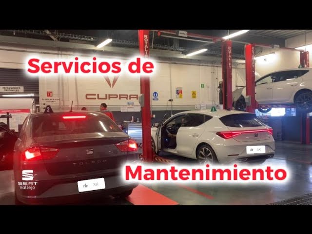 5 años mantenimiento seat que incluye