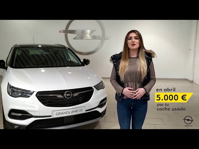 5.000 euros por tu viejo coche