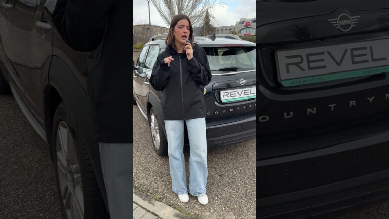 a que coche corresponde esta matricula