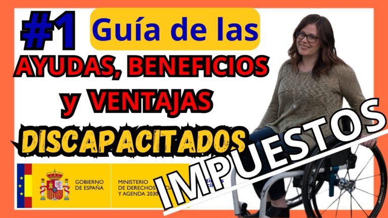 ayudas del gobierno vasco para discapacitados