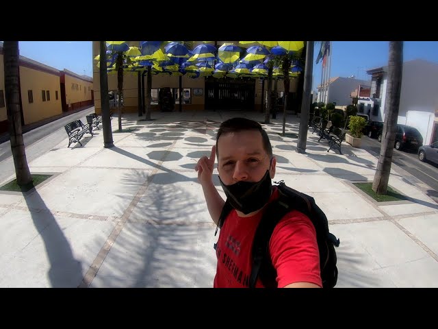 buses alhaurin de la torre malaga