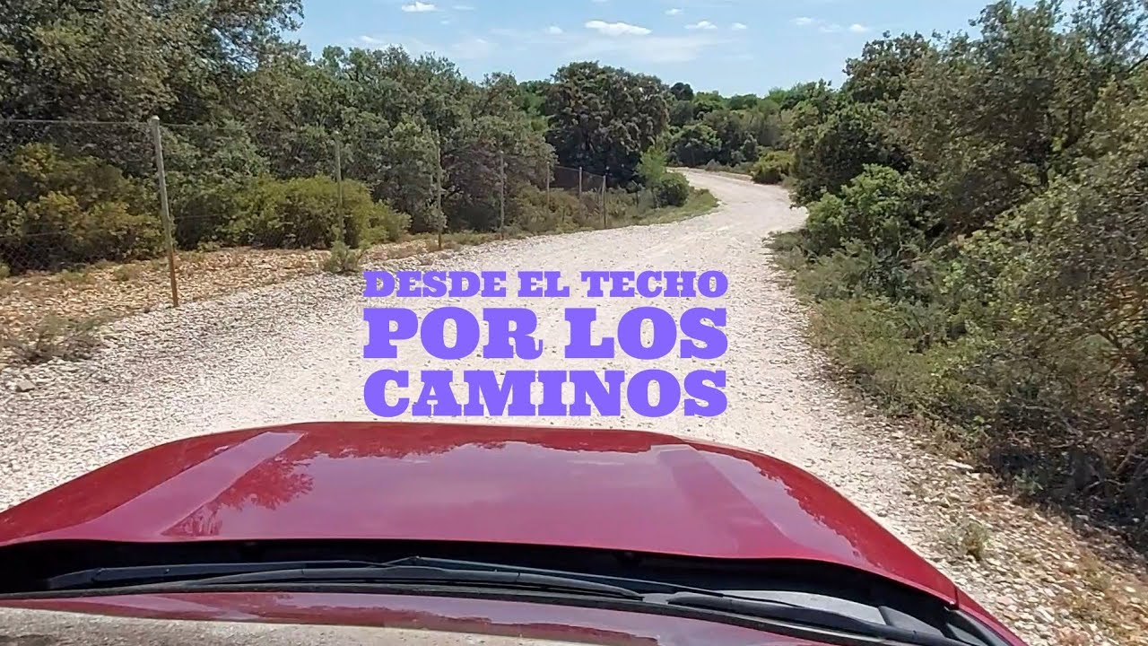 by my car alcala de henares