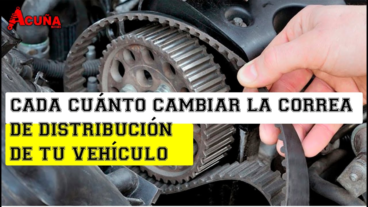 cada cuanto tiempo hay que cambiar la correa de distribucion
