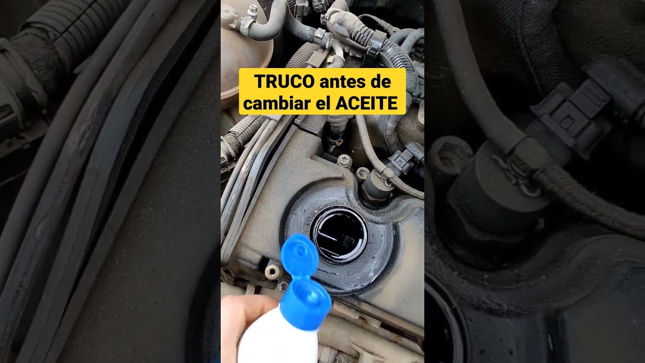 cambio de aceite y filtros aurgi