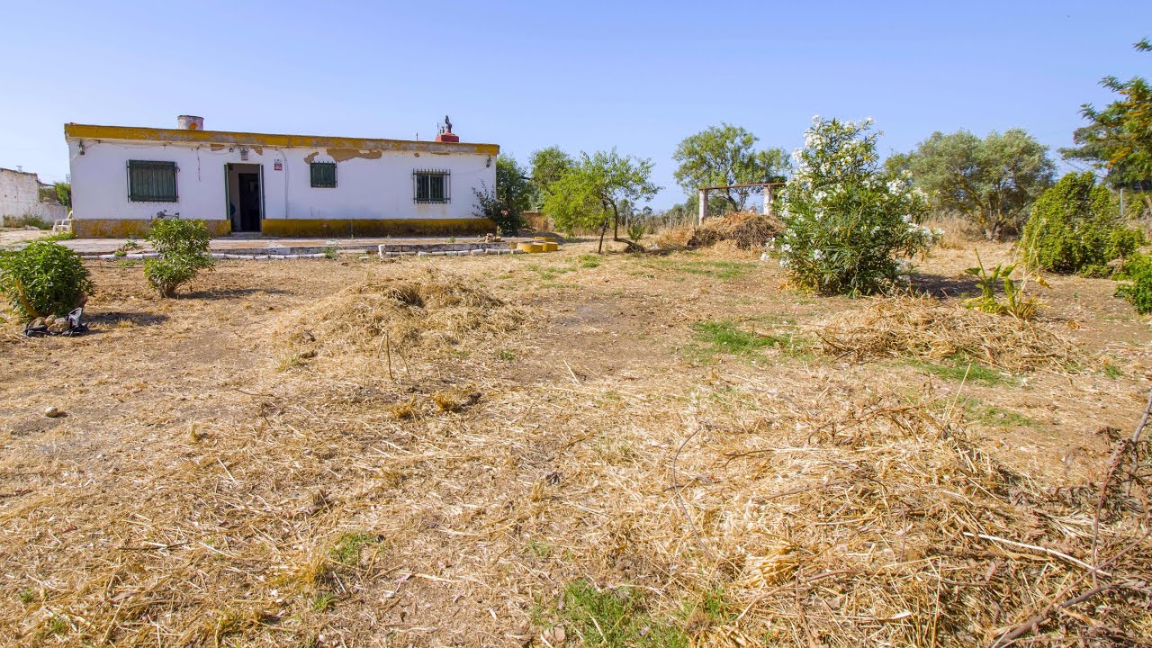 casas de campo en gibraleón baratas