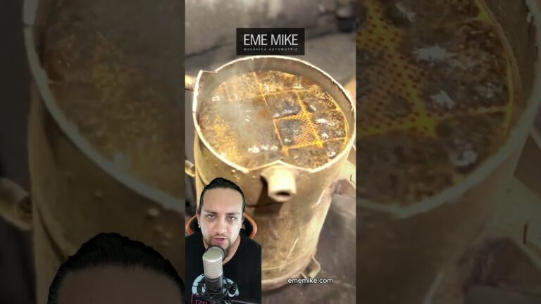 como limpiar filtro de partículas en carretera