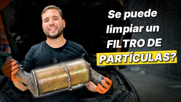 como limpiar un filtro de particulas