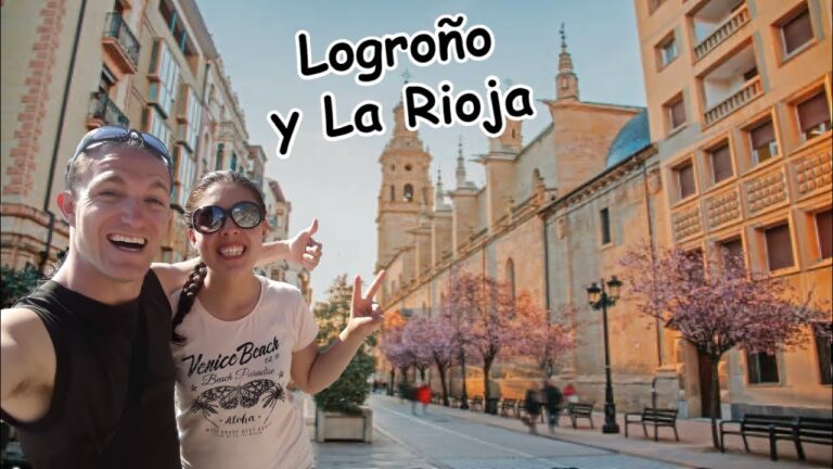 cómo llegar a logroño en coche