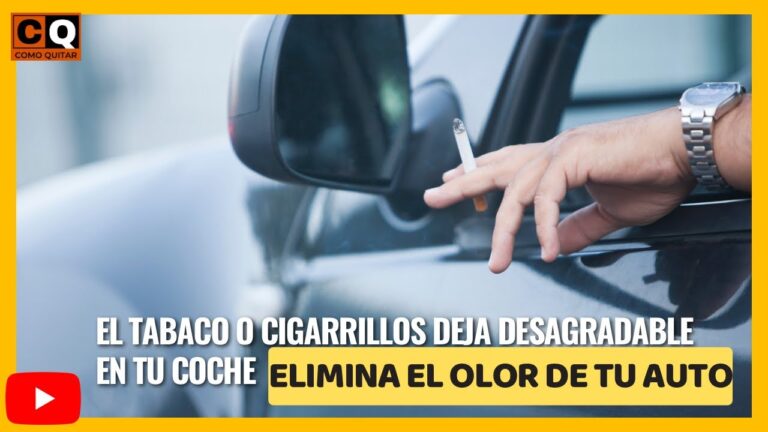 como quitar el olor a tabaco del coche