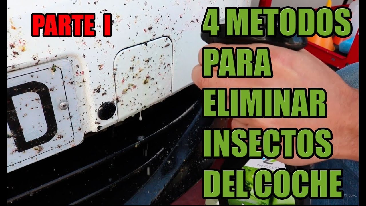 como quitar los mosquitos del coche