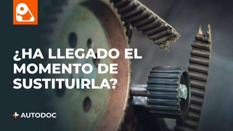 como saber si la correa de distribución está bien