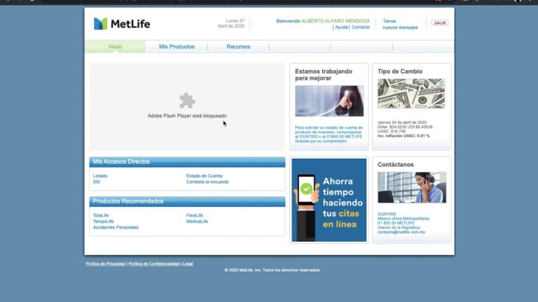 como ver mi póliza de seguro metlife