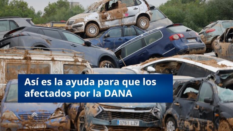 concesionarios adheridos al plan reinicia auto