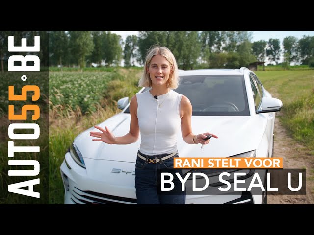 consumo byd seal u dm i