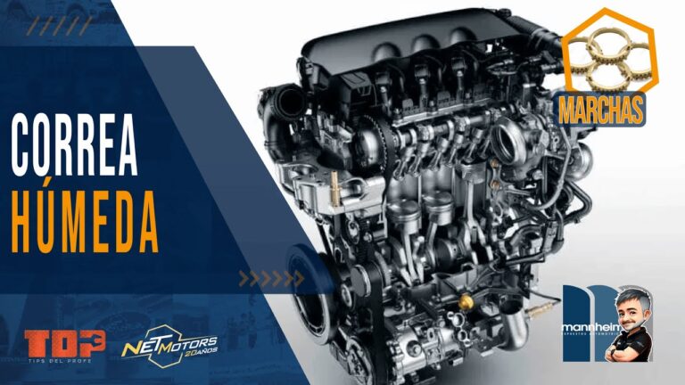 correa de distribucion bañada en aceite