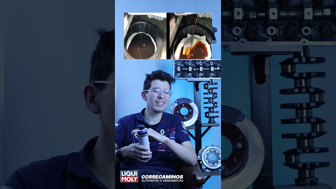 cual es el mejor limpiador de motor interno