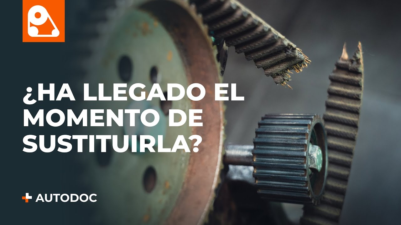 cuando cambiar la correa de distribución