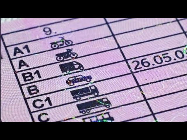 cuanto dura el teorico del coche