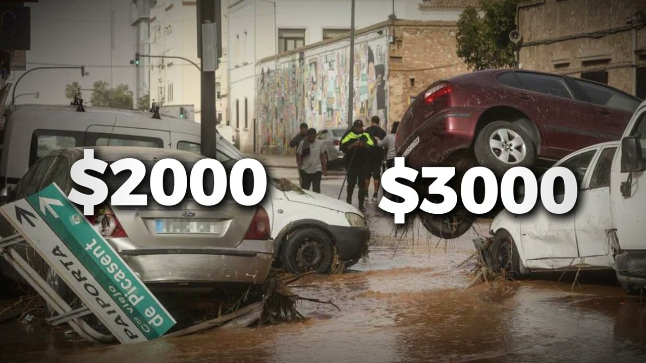 cuantos coches se han perdido en la dana