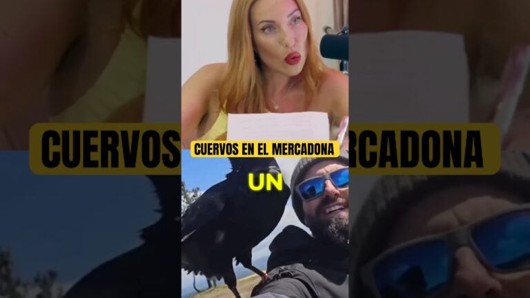 donde comprar un cuervo en españa