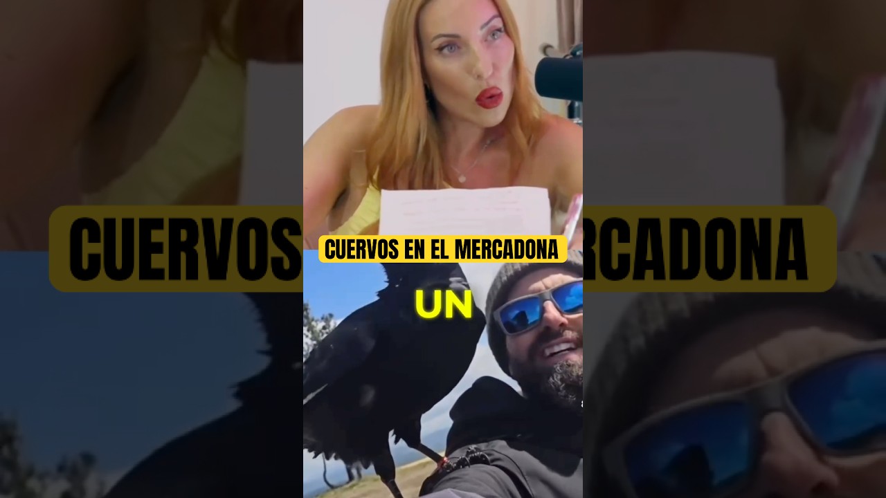 donde comprar un cuervo en españa