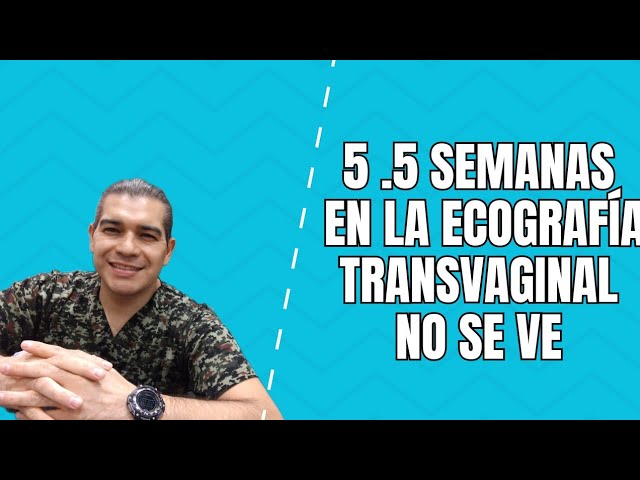 eco 5 semanas no se ve nada