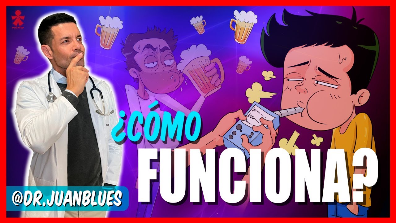 el efecto de la alcoholemia alcanza su máximo nivel