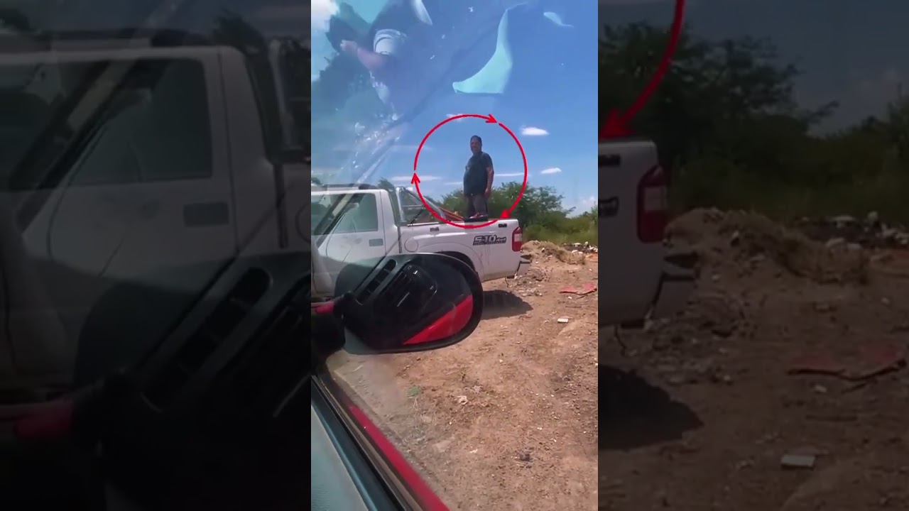 está prohibido arrojar a la vía objetos...