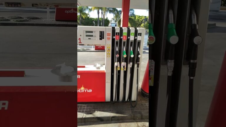 estación de servicio cepsa ofelia nieto