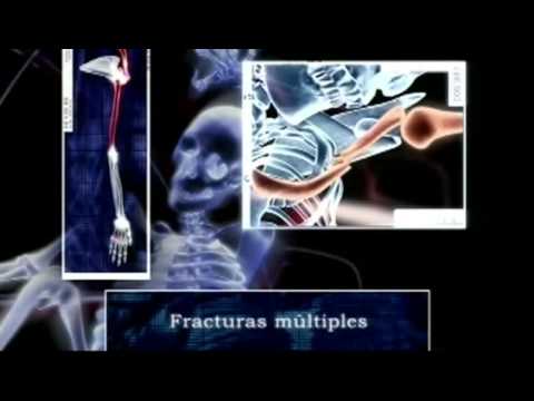 exentos de llevar cinturón de seguridad