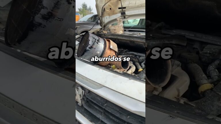 filtro de partículas diésel lleno debe seguir conduciendo