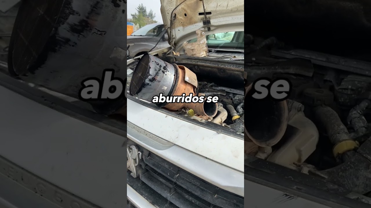 filtro de partículas diésel lleno debe seguir conduciendo