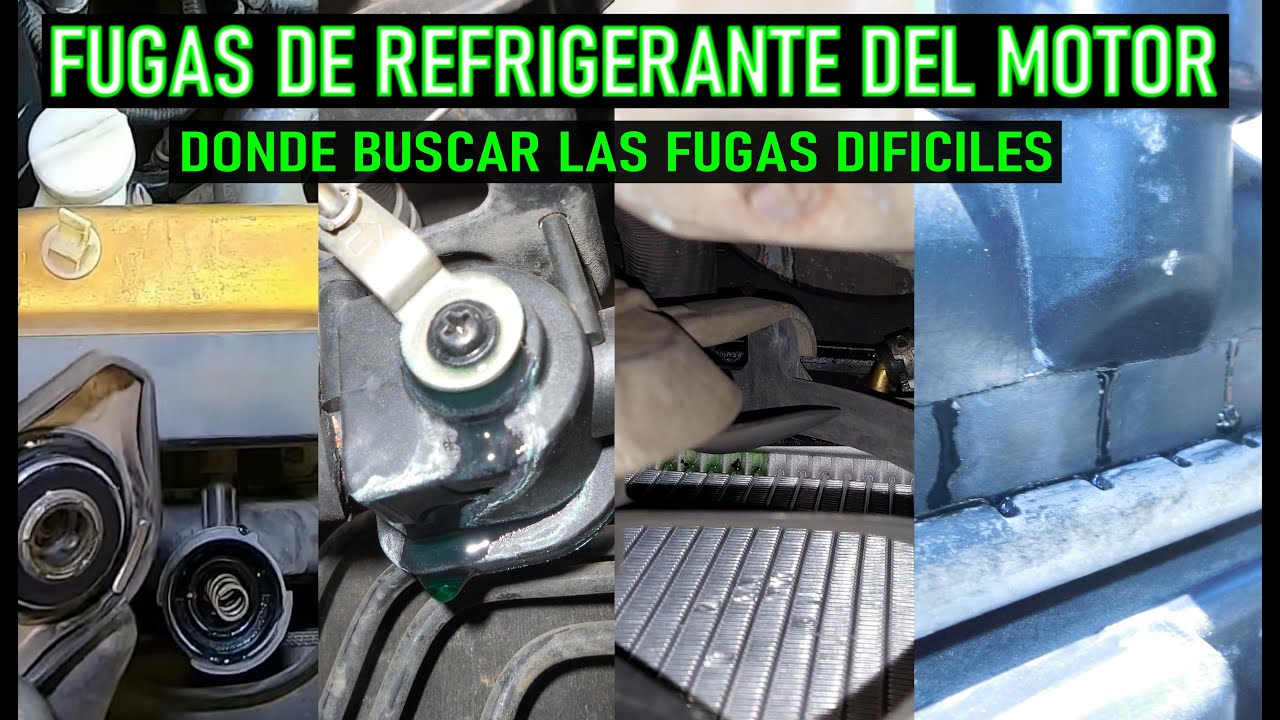fuga de anticongelante por el motor