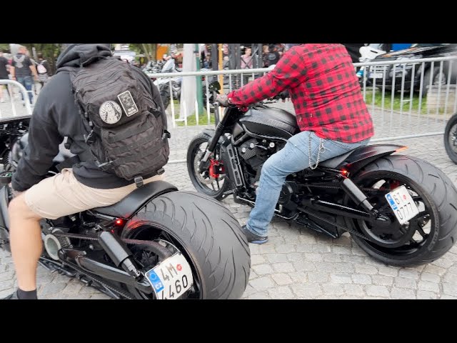 harley davidson night v rod special