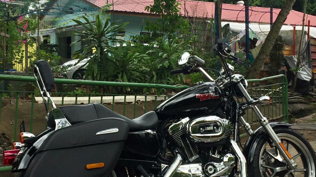 harley davidson sportster xl 1200 sportster