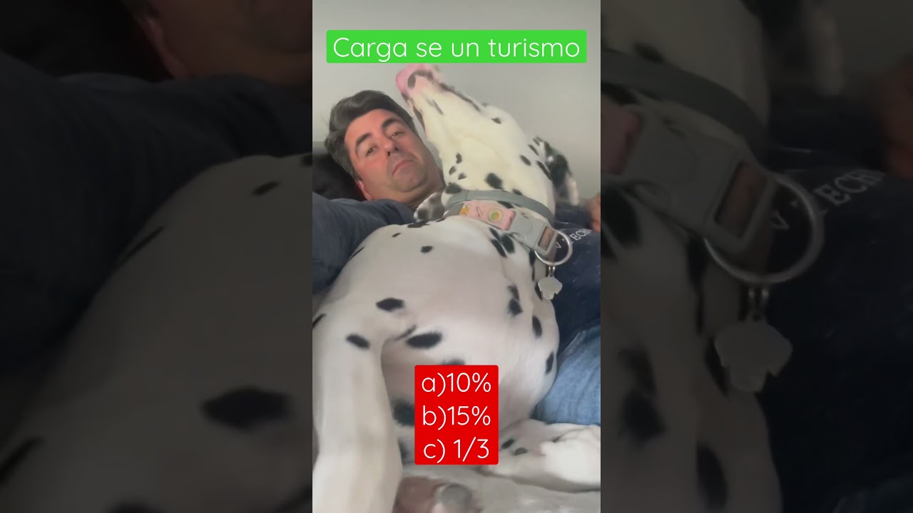 la carga de un turismo cuánto puede sobresalir por detrás