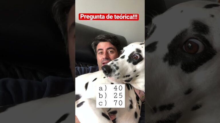 la velocidad máxima con carácter general para un vehículo especial
