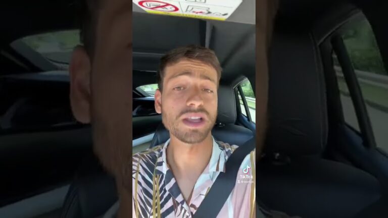 llevar al perro en el coche