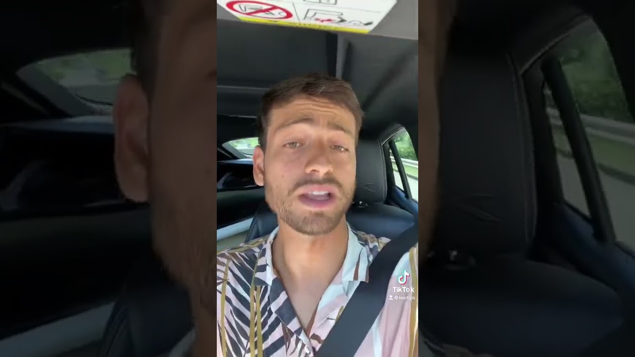 llevar al perro en el coche