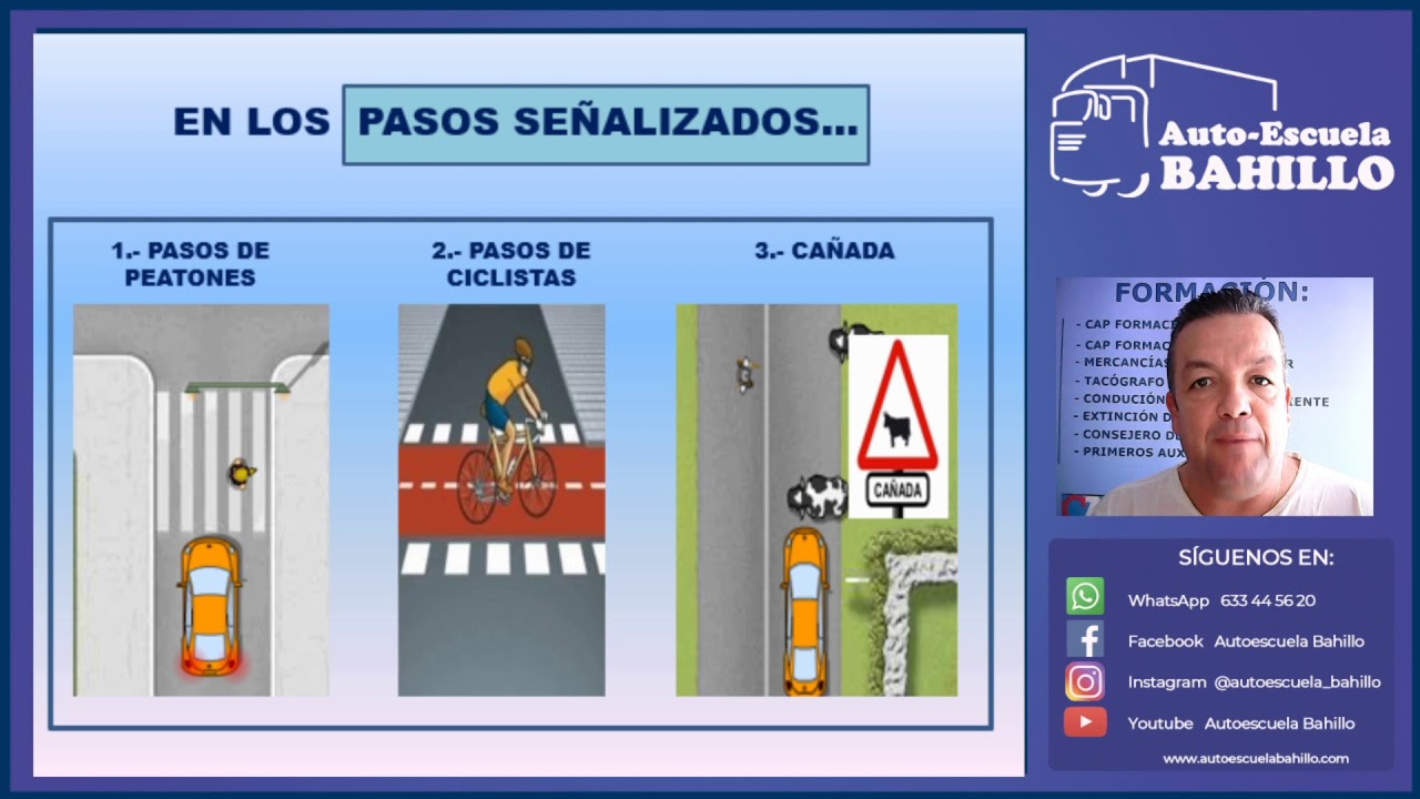 los animales cuando tienen preferencia de paso