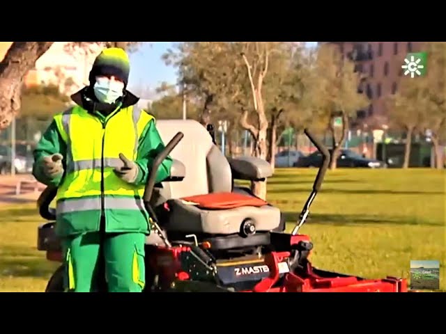 mairena del aljarafe distancia a sevilla