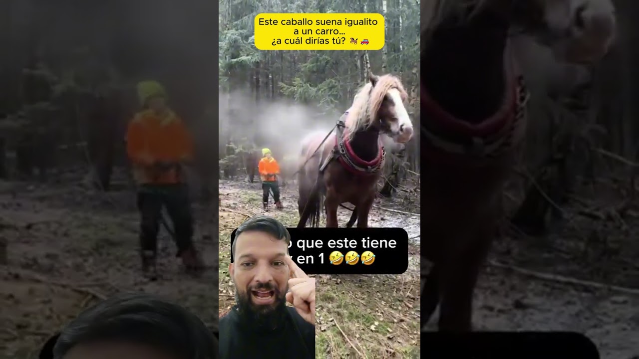 marcas de coches con un caballo