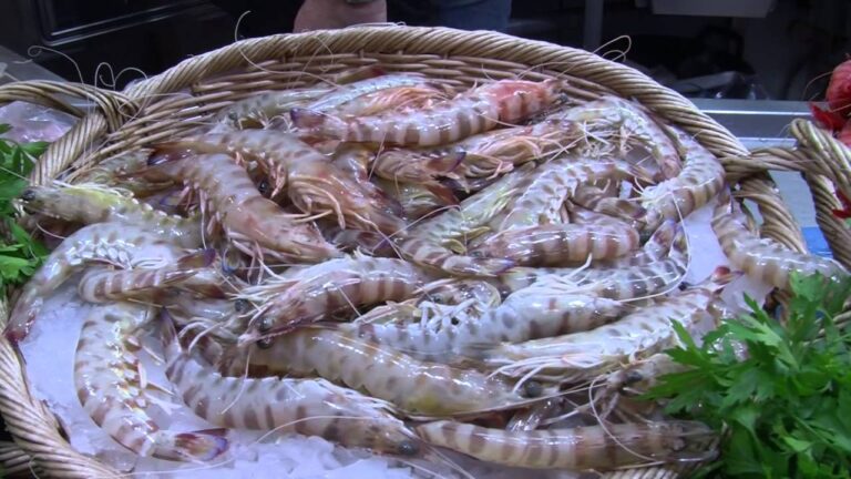 mercado de vilanova i la geltrú