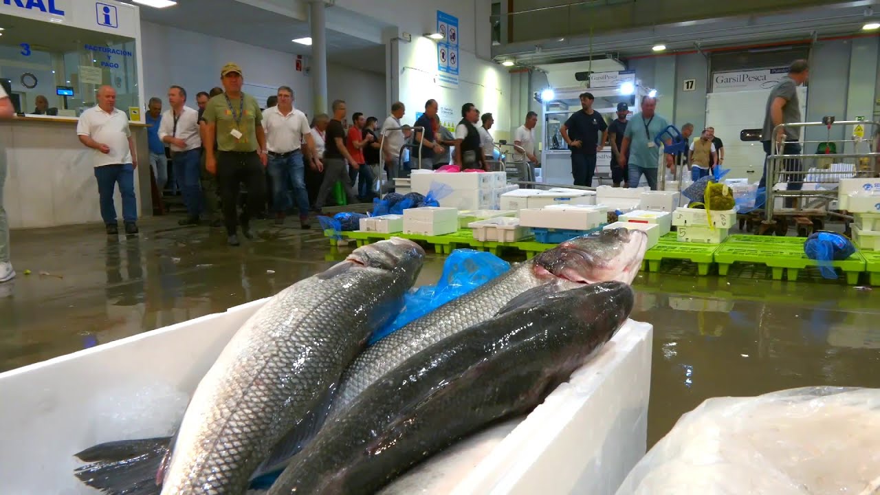 mercado el puerto de santa maria
