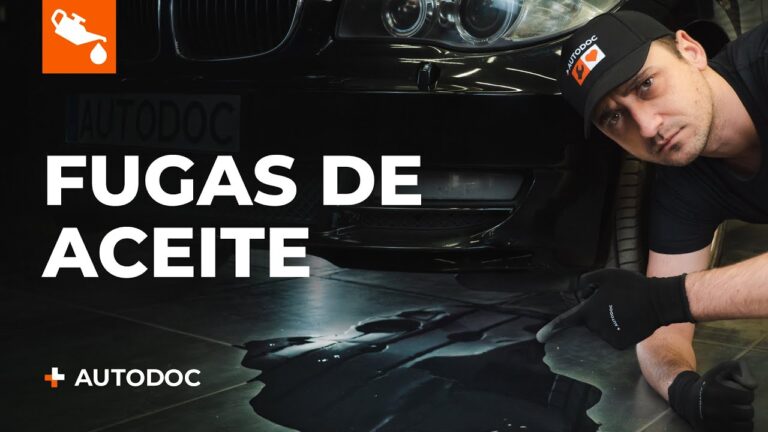 mi coche pierde aceite por debajo