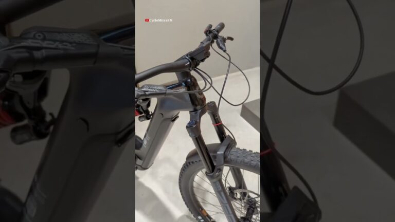 moterra neo carbon lt 2 peso