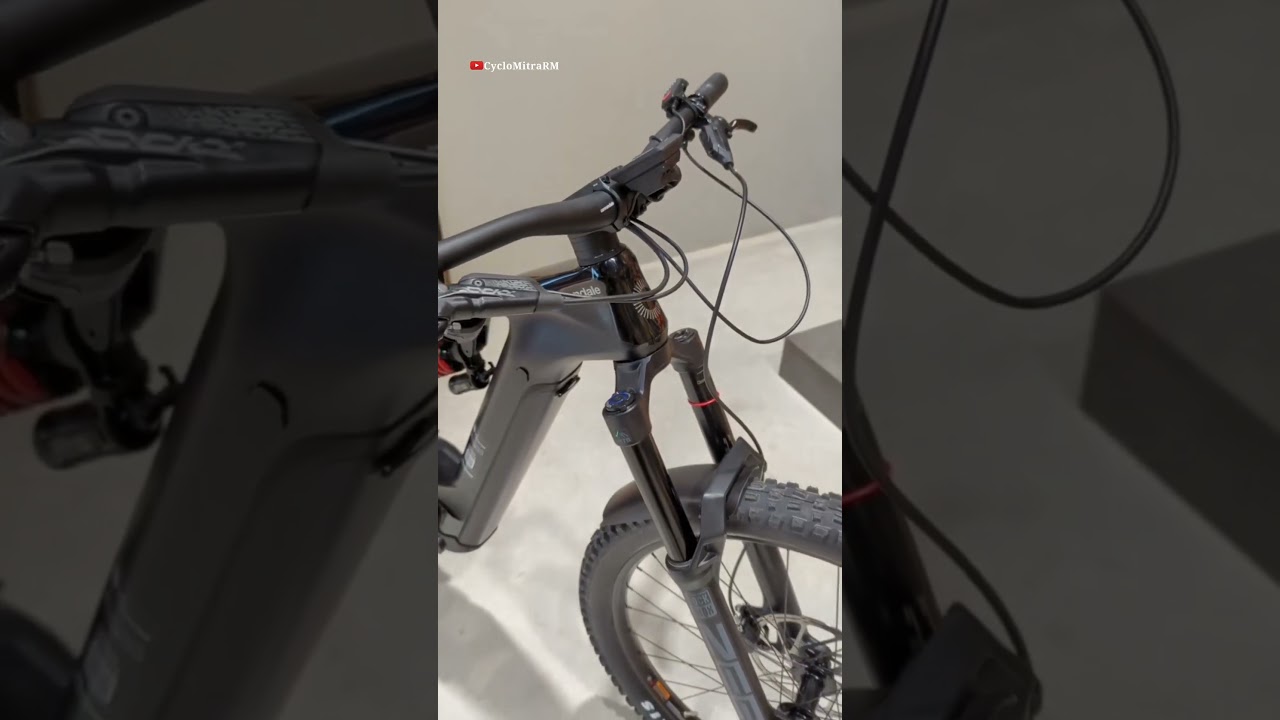 moterra neo carbon lt 2 peso