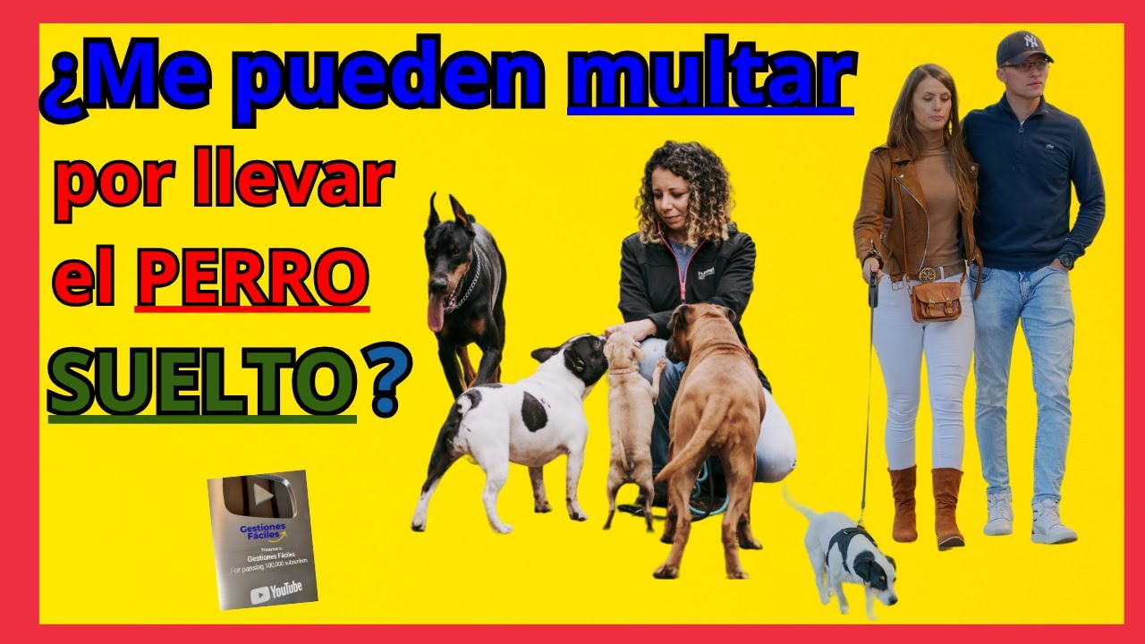 multas por llevar el perro suelto