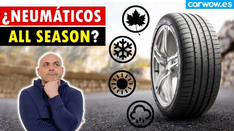 neumáticos de invierno para todo el año