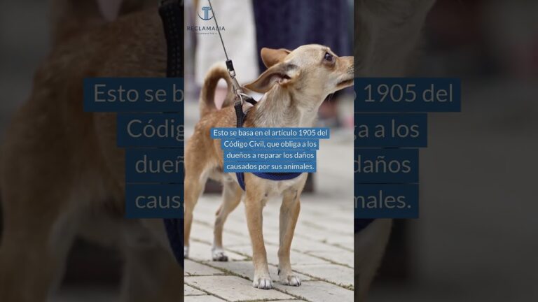 nueva ley de tráfico sobre atropello de animales